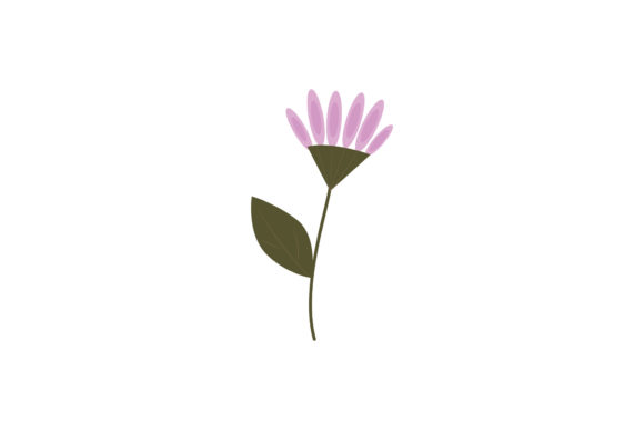 Boho Color Floral Plant Illustration-15: Art That Blooms