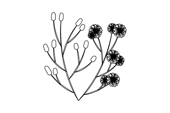 Floral Decoration Flower Outline: The Art of Simplicity in Digital Design