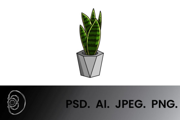 Sansevieria Floral Cartoon Illustration for Creative Projects