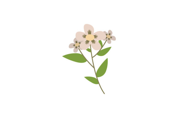 The Boho Color Floral Plant Illustration-02: Your Ultimate Design Companion